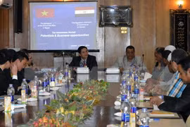 Promueven comercio e inversión entre Vietnam y Egipto