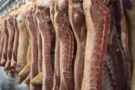Empresa rusa exportará carne porcina a Vietnam