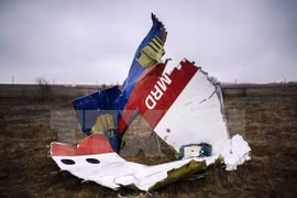 Malasia se compromete a averiguar explicación para la tragedia MH17