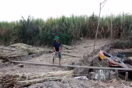Comisión Mixta de Mekong debate uso de recursos hídricos del río