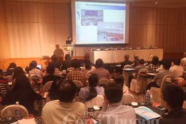 Seminario en Ciudad Ho Chi Minh sobre mejoramiento de relaciones laborales