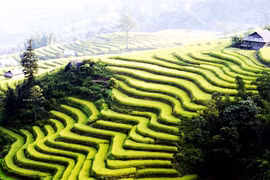 Lao Cai despierta a su gran potencial turístico