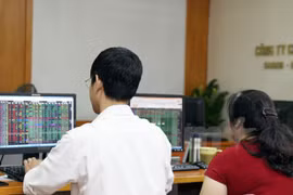 Aumento récord de número de nuevas empresas en Vietnam