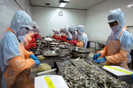 Panamá autoriza importación de productos acuáticos de Vietnam