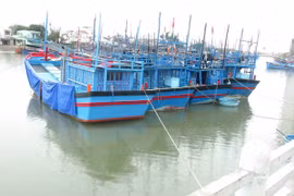 Aumentan flota pesquera de provincia centrovietnamita de Thanh Hoa