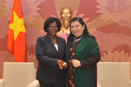 Vietnam y Mozambique forjan lazos legislativos