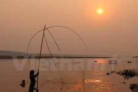 Desagüe desde río arriba no puede revertir salinización en Delta del Mekong