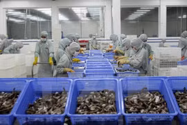 Negociador europeo: TLC Vietnam – UE beneficia a ambas partes