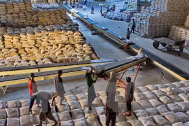 Las exportaciones del arroz de Vietnam merman 18,4 por ciento