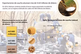 Exportaciones de caucho alcanzan más de cuatro mil millones de dólares