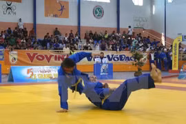 Concluye Festival internacional de artes marciales tradicionales de Vietnam