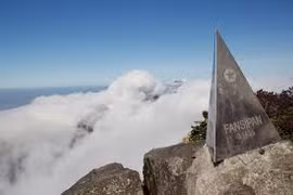 Budistas de Vietnam rezan por paz y felicidad