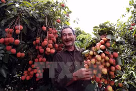 Acuerdos de libre comercio beneficiarán agricultura de Vietnam
