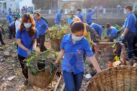 Vietnam celebra Día Mundial del Medio Ambiente