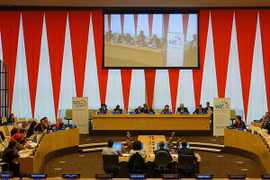 Vietnam en diálogo de alto nivel sobre políticas en ECOSOC