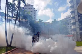 El virus Zika continúa su expansión en Singapur