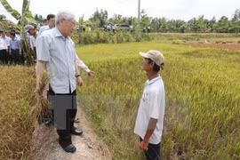 Líder partidista vietnamita revisa trabajos contra salinización en delta de Mekong