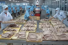 Vietnam y EE.UU. promueven cooperación en agrosilvicultura y acuicultura