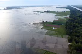 Construirán centro de datos ambientales en Delta de Mekong