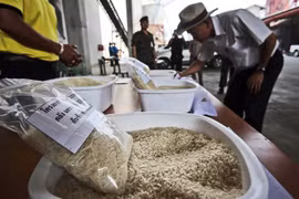 Tailandia capta primera señal positiva en exportación durante últimos cinco meses