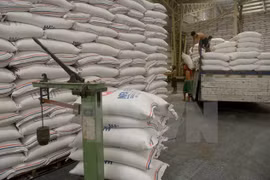 Camboya registra reducción en exportación de arroz