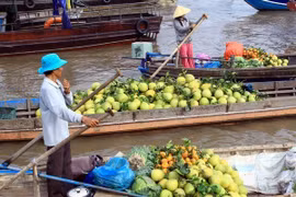 Vietnam aboga por optimizar recursos para el desarrollo del delta de Mekong