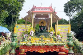 Exhiben en Vietnam estatua de Buda de jade más grande del mundo