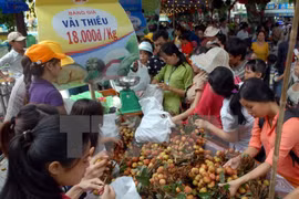 Festival de Fruta sureña resalta valores agrícolas de Vietnam