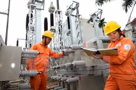 EVN garantizará suministro de electricidad durante estación seca