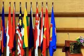 Vietnam comprometido a contribuir activamente a AMM-49 en Laos