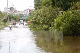 Al menos 10 muertos en Indonesia por inundaciones