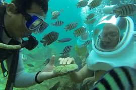 Inician tour de caminata submarina en Quang Nam