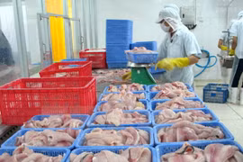 Vietnam estrecha control de higiene alimentaria en productos exportables