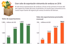 [Infografía] Gran valor de exportación vietnamita de verduras en 2016