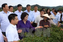 Jefa del Parlamento vietnamita orienta medidas de desarrollo en provincia norteña