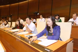 Parlamento de Vietnam aprueba Ley de creencias y religiones