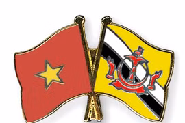 Vietnam y Brunei amplían nexos en defensa