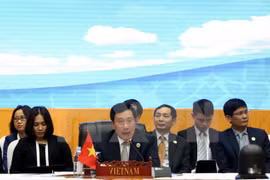 Vicepremier vietnamita activo en encuentros bilaterales en marco de AMM 49
