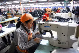 Analizan en Vietnam formas para el desarrollo del sector privado