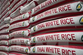 Continúan en Tailandia subastas de gran cantidad de arroz