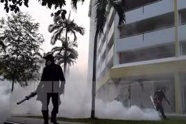 Singapur lanza campaña de eliminación de mosquitos para prevenir Zika