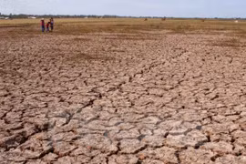 Continúan grave sequía en Altiplanicie Occidental