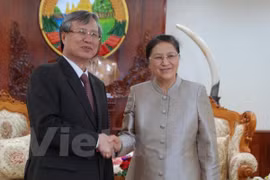 Vietnam y Laos fomentan lazos en labor de inspección partidista