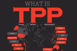 Economía vietnamita se disparará gracias al TPP