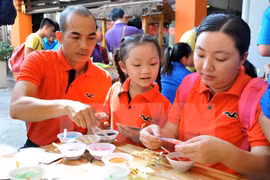 Amplias actividades por el Día de la Familia de Vietnam 2016