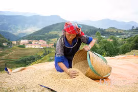 Visitar Mu Cang Chai para aprender ser feliz 