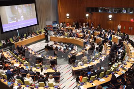 Destacan contribuciones activas de Vietnam para ECOSOC