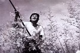 Por primera vez presentan películas vietnamitas en pantalla india
