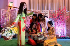 Entidades religiosas y organizaciones extranjeras en Vietnam felicitan el Tet
