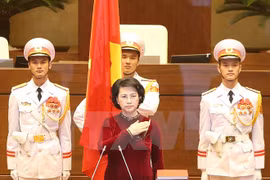 Esperanza de diputados vietnamitas en reforma de actividades del Parlamento